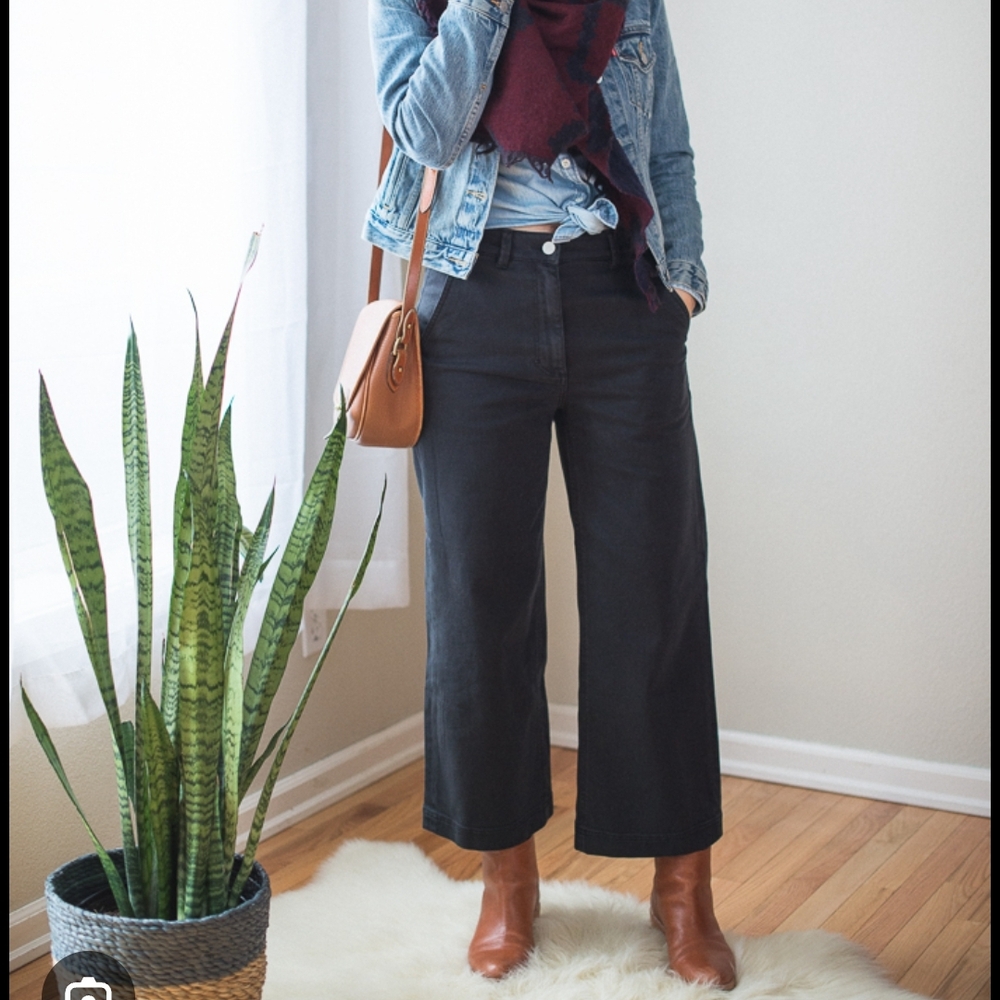 Everlane Cropped Wide Leg Black Pants